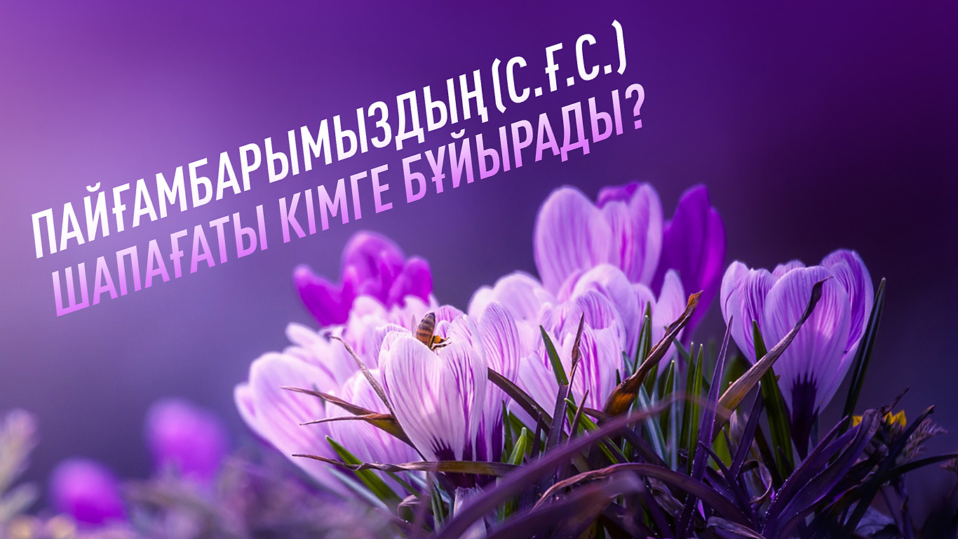 Пайғамбарымыздың (с.ғ.с.) шапағаты кімге бұйырады?