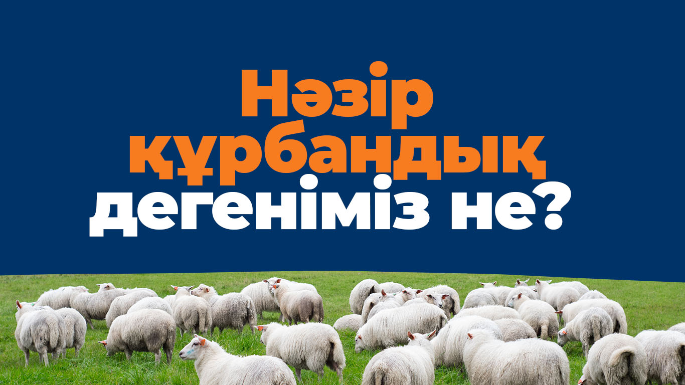 Нәзір құрбандық дегеніміз не?