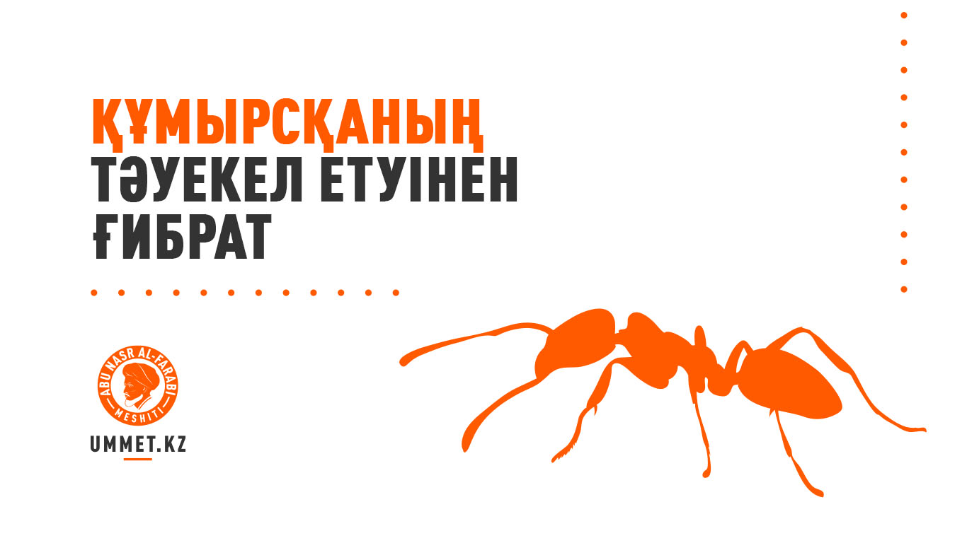 Құмырсқаның тәуекел етуінен ғибрат