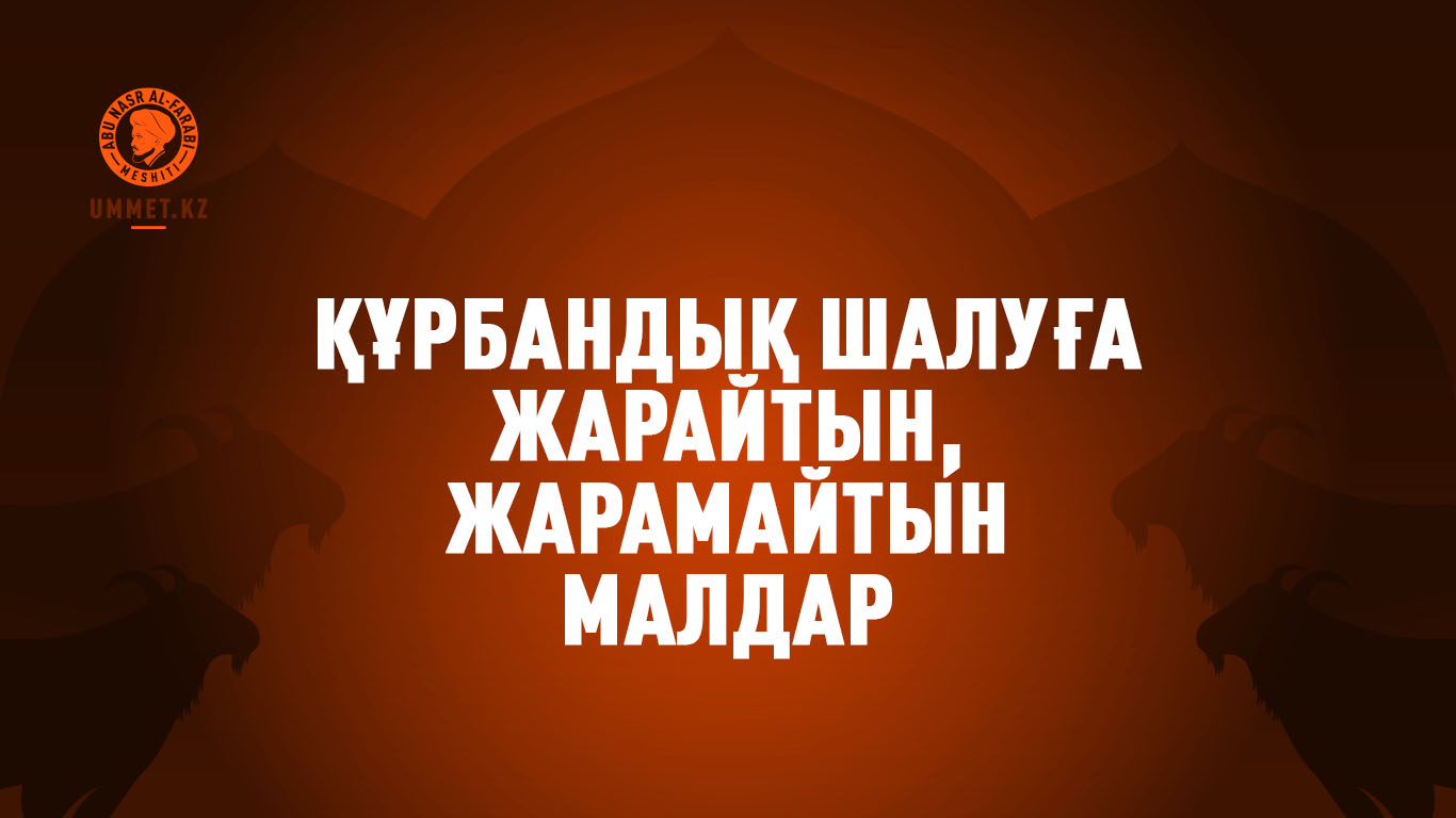 Құрбандық шалуға жарайтын, жарамайтын малдар