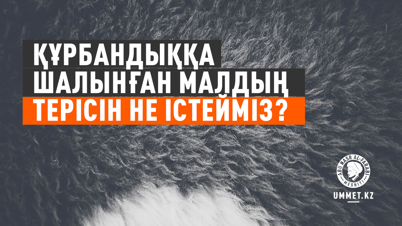 Құрбандыққа шалынған малдың терісін не істейміз?