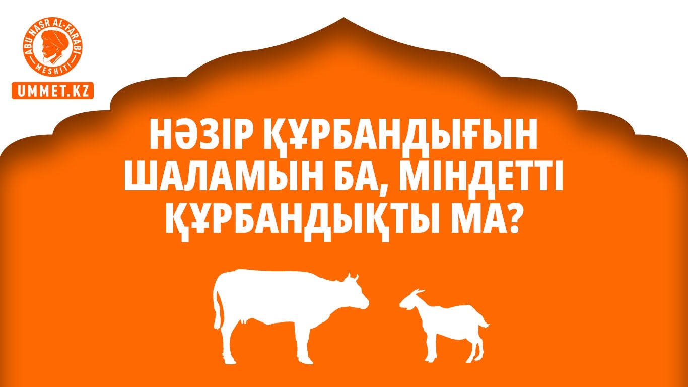 Нәзір құрбандығын шаламын ба, міндетті құрбандықты ма?